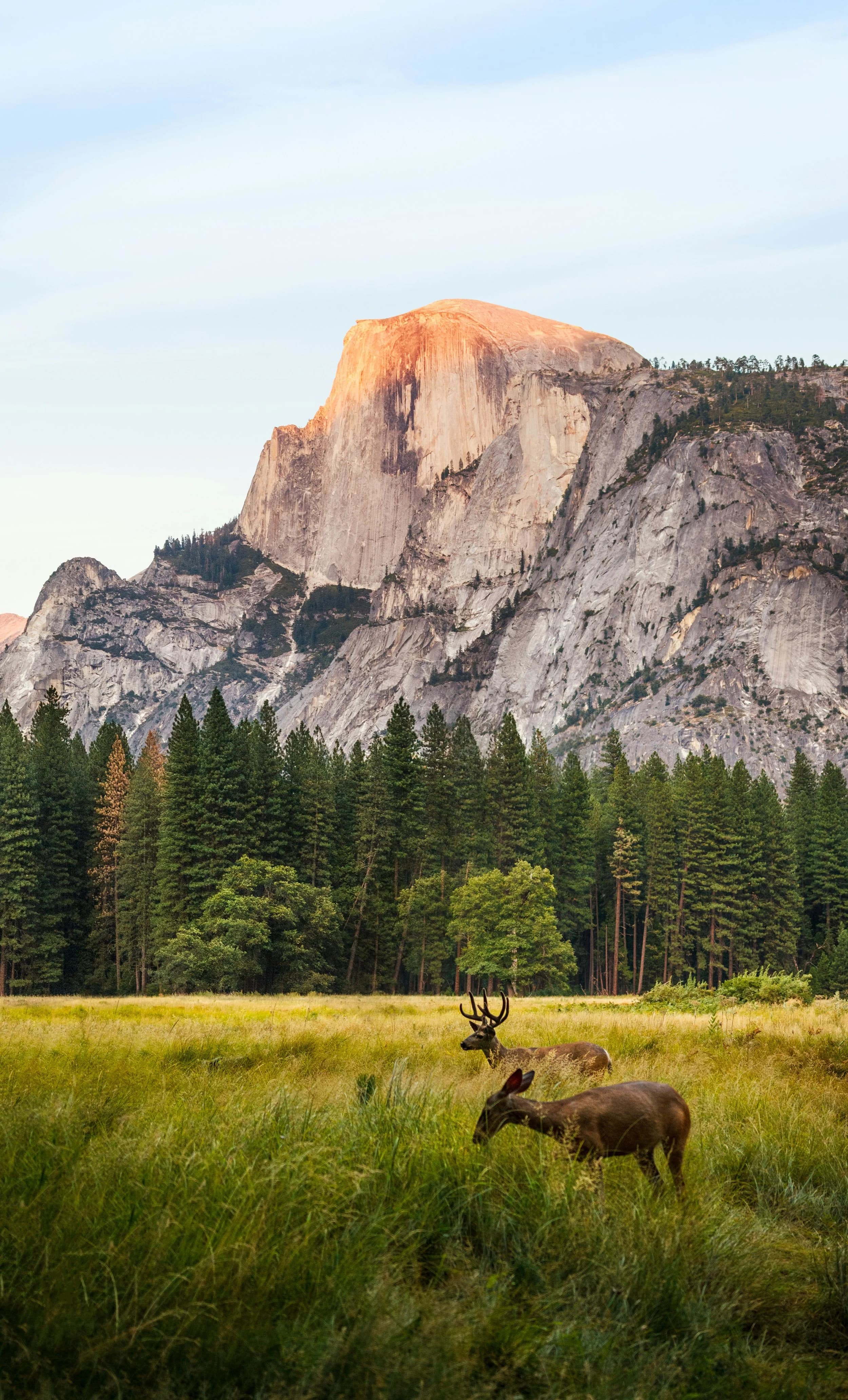 Mountain landscape